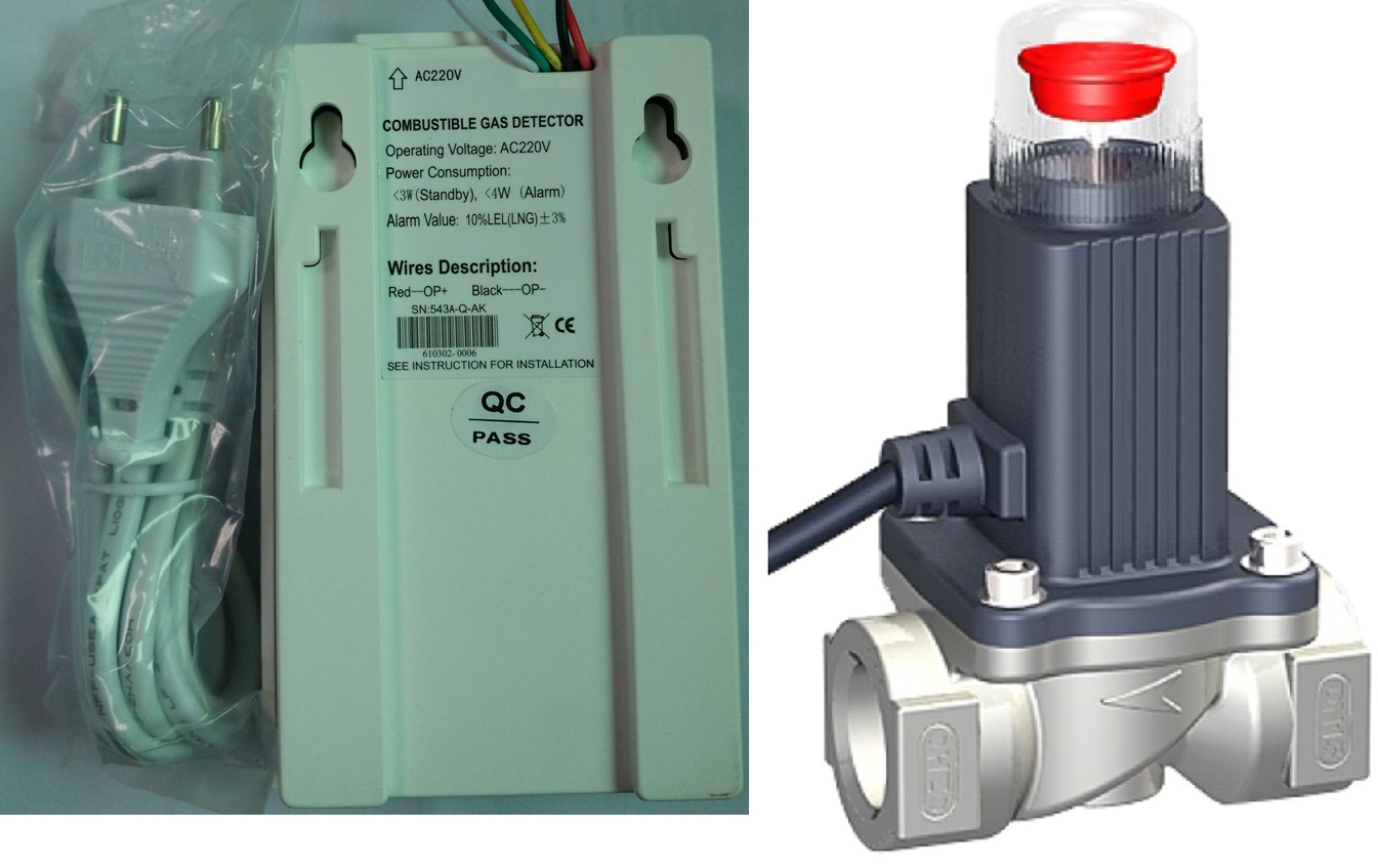 Gas detector with solenoid valve (image for) Gas detector with solenoid valve